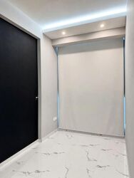 The Canopy (D27), Condominium #555560401